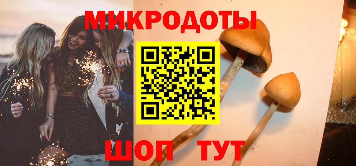 Галлюциногенные грибы Psilocybe  Галлюциногенные грибы мухоморы  где купить наркоту  Вход с VPN  Городец 